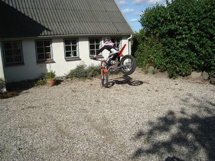 Beta 290 EVO billede 3