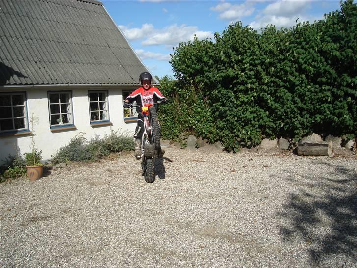 Beta 290 EVO billede 4