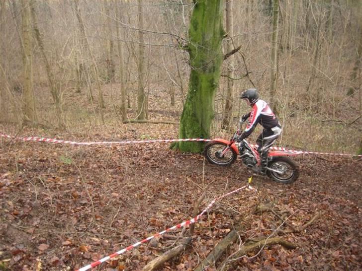 Beta 290 EVO billede 5