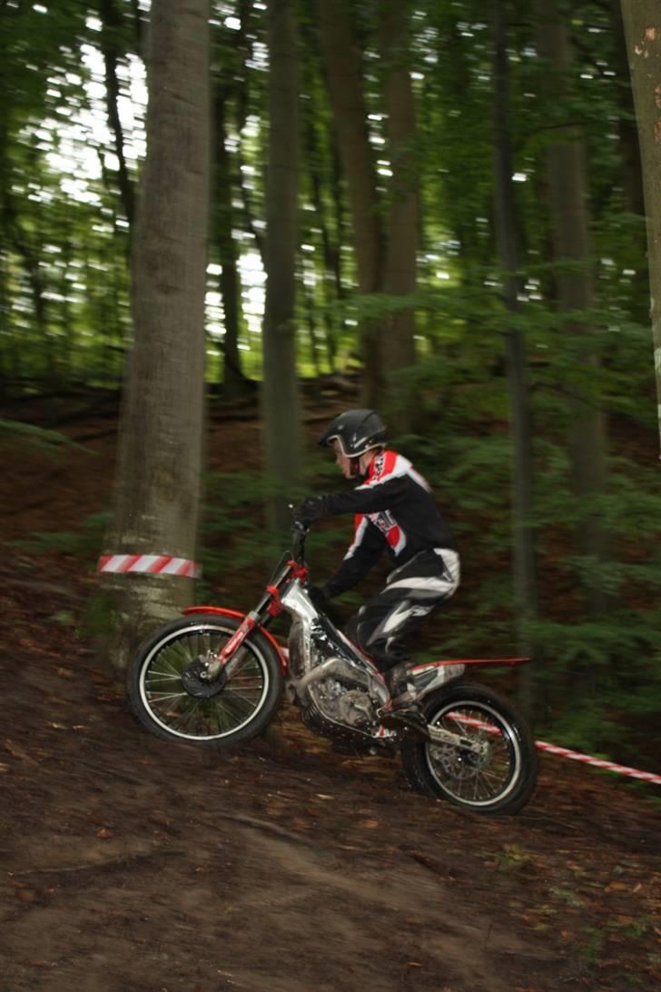 Beta 290 EVO billede 6