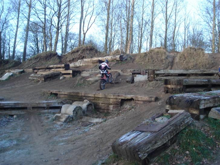 Beta 290 EVO billede 7