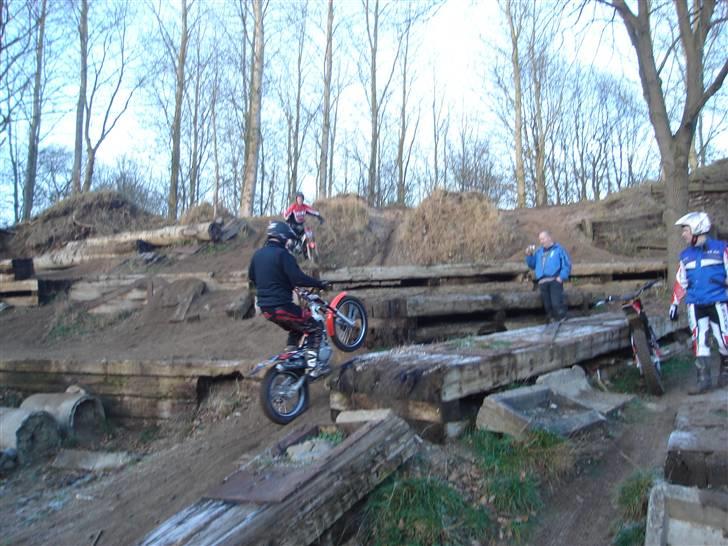 Beta 290 EVO billede 8