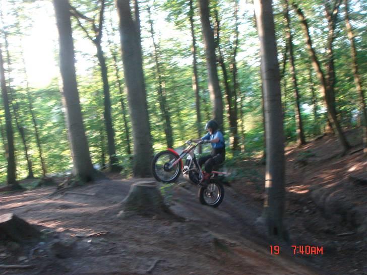 Beta 290 EVO - gammel far skulle lige prøve .. billede 9