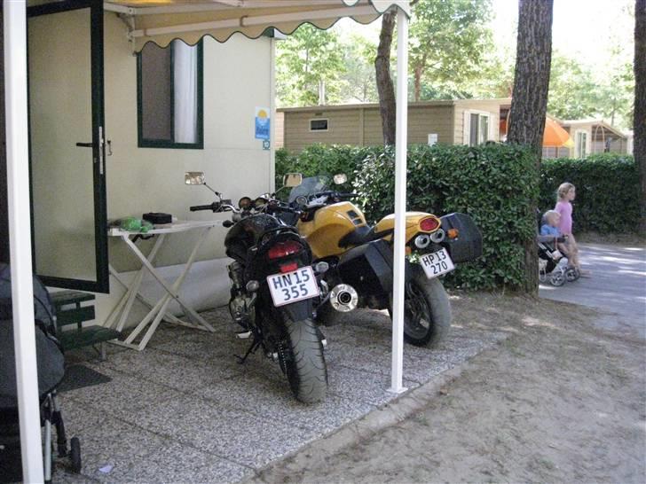 Suzuki Bandit GSF650AK7 billede 9