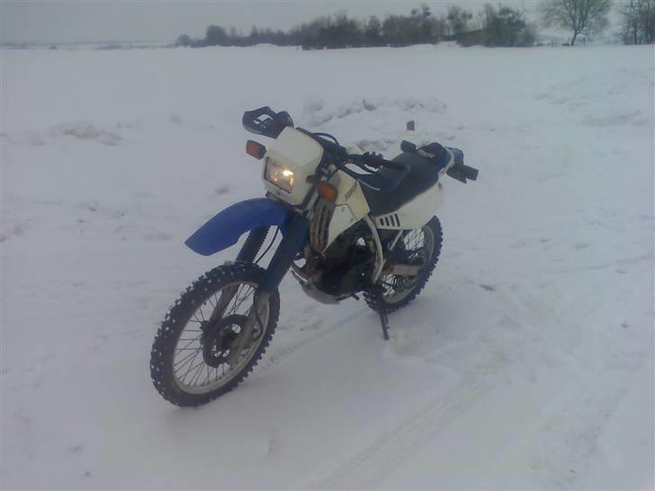 Yamaha TT 350 billede 7