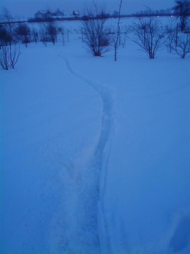 Honda Emax 250cc store projekt  - nyt billede 11