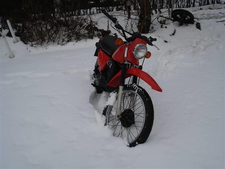 Suzuki ts 185 er **SOLGT** - På opfordring, flere billeder, rart den er så populær, at mange vil se EKSTRA billeder!!!! billede 7