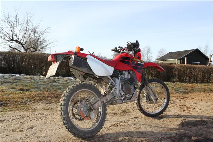 Honda XR 650 R  billede 3