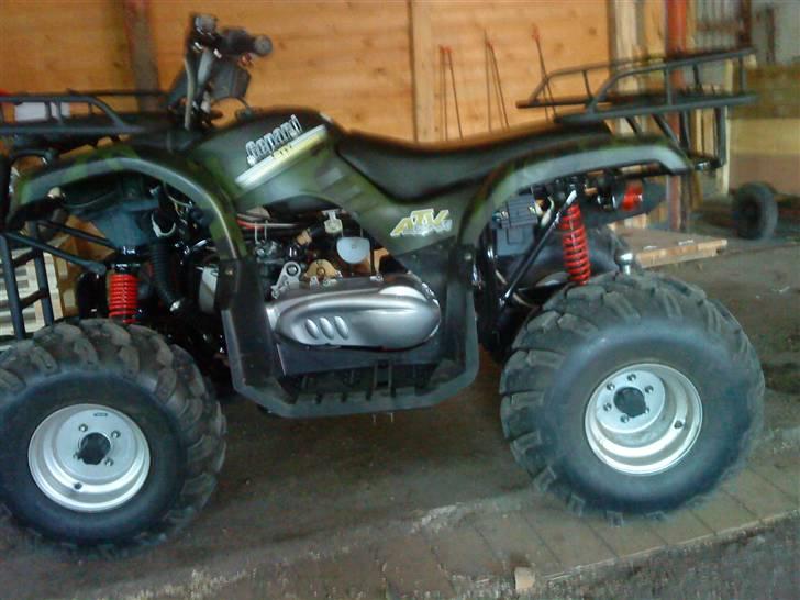 Panther gepard billede 1