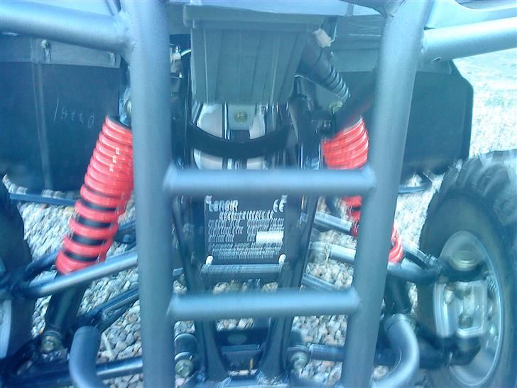 Panther gepard billede 2