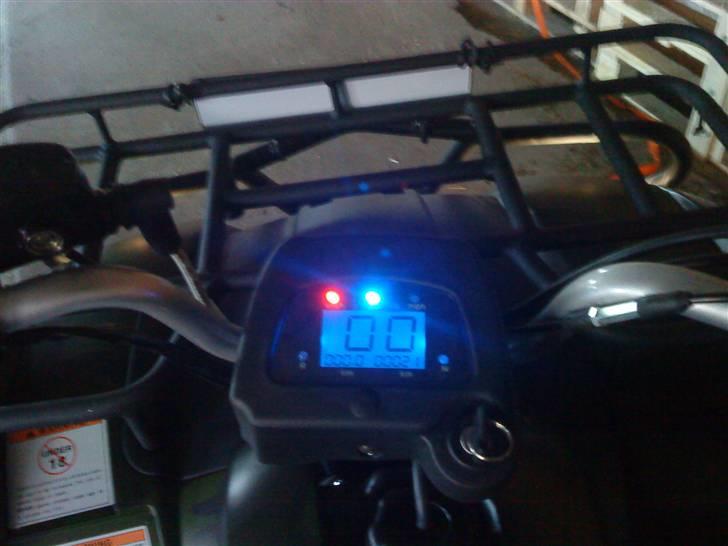 Panther gepard billede 3