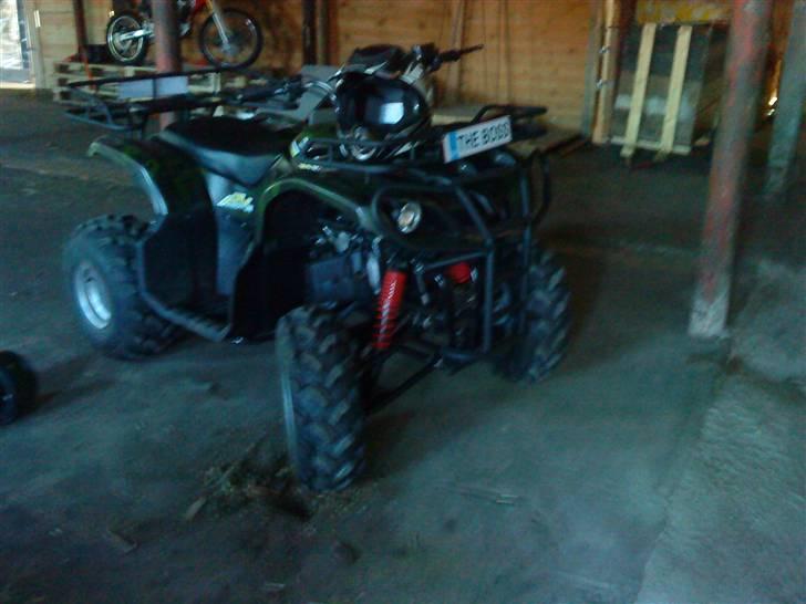 Panther gepard billede 5