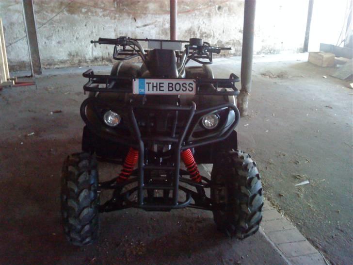 Panther gepard billede 6