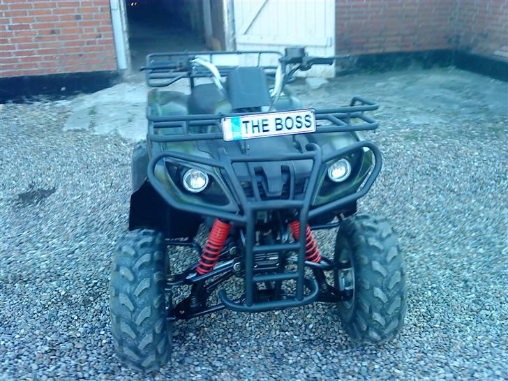 Panther gepard billede 8