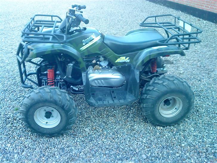 Panther gepard billede 9