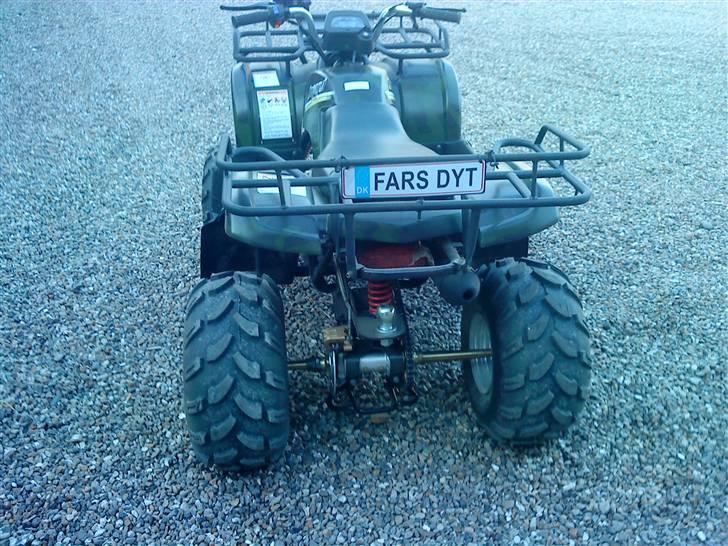 Panther gepard billede 10