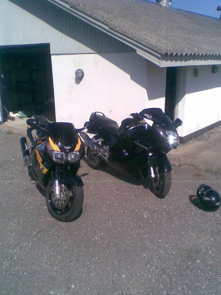 Honda CBR 900 Fireblade SC33 billede 6