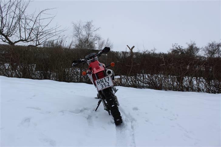 Honda XR 650 R  billede 5