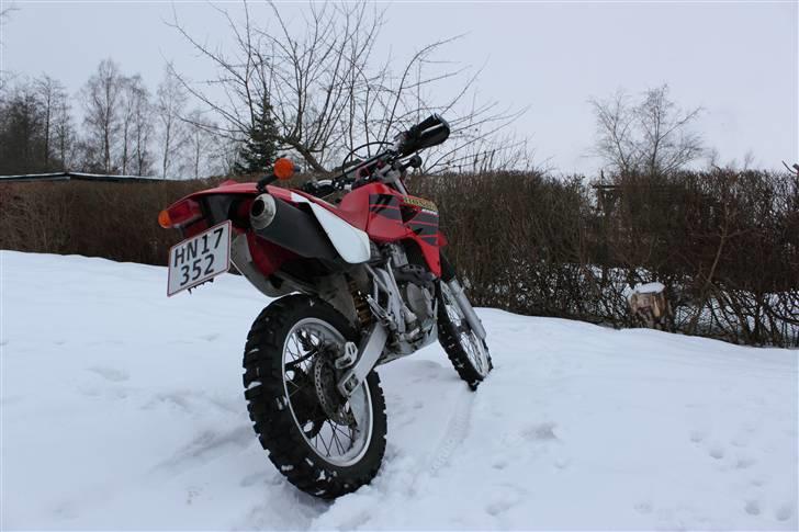 Honda XR 650 R  billede 6
