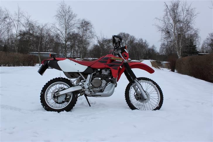 Honda XR 650 R  billede 7