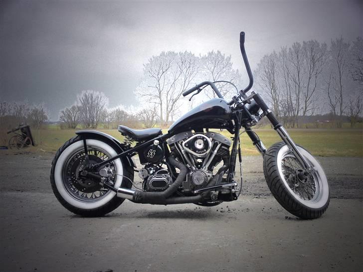 Harley Davidson Panhead FL/shovel pojekt billede 1