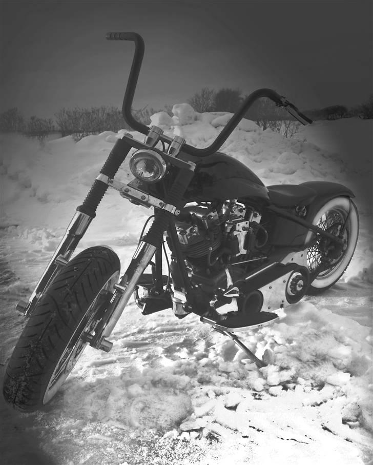 Harley Davidson Panhead FL/shovel pojekt billede 2