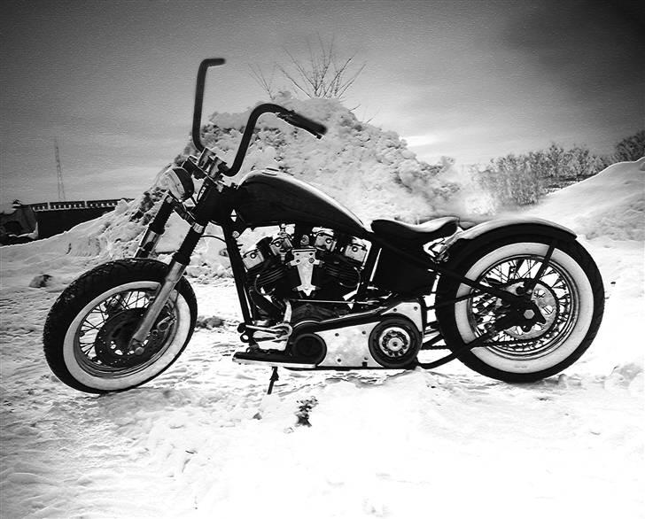 Harley Davidson Panhead FL/shovel pojekt billede 3