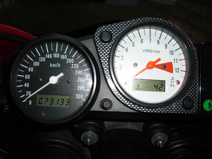 Suzuki TL1000R billede 5
