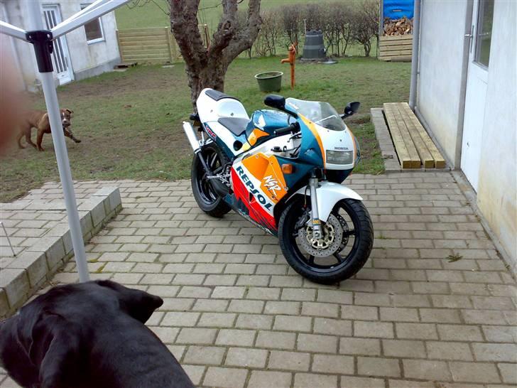 Honda Nsr mc 28 sp billede 8