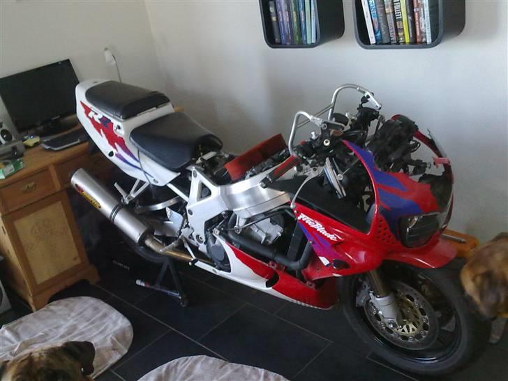 Honda CBR900RR Fireblade - Glæder mig til at finde en ny kåbe billede 2