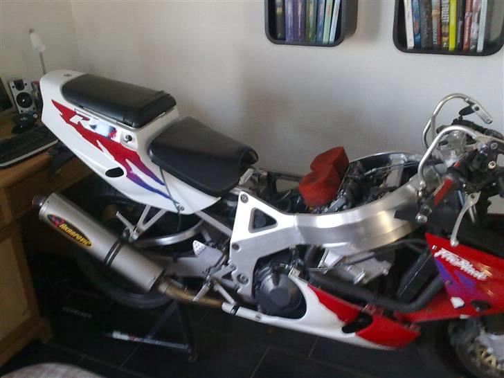 Honda CBR900RR Fireblade - Glæder mig til at finde en ny kåbe billede 5