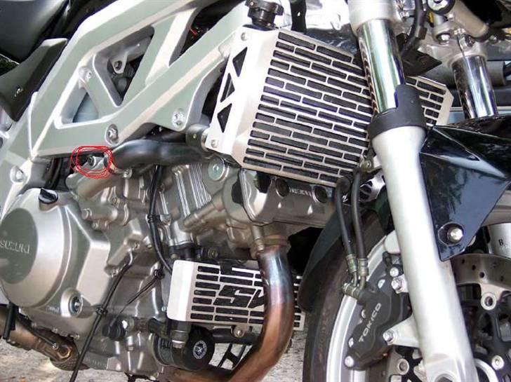 Suzuki SV1000 [SOLGT] billede 19