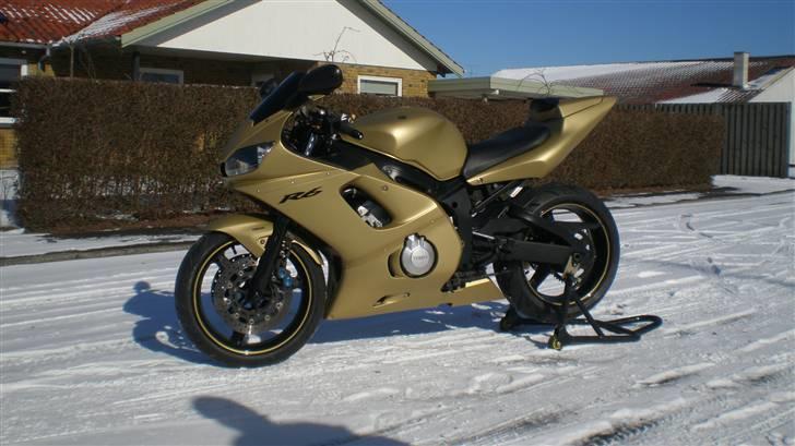 Yamaha R6 "GOLD EDITION" Solgt billede 1