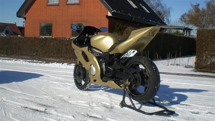 Yamaha R6 "GOLD EDITION" Solgt billede 2