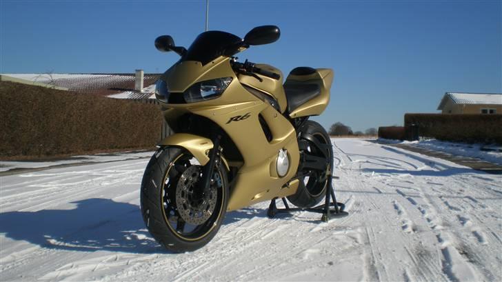 Yamaha R6 "GOLD EDITION" Solgt billede 4