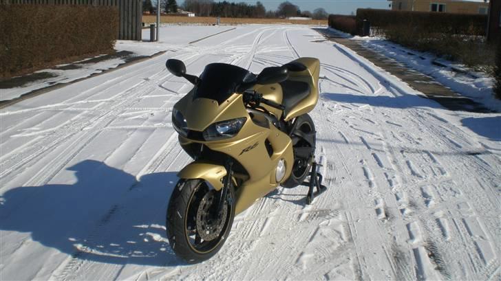 Yamaha R6 "GOLD EDITION" Solgt billede 5