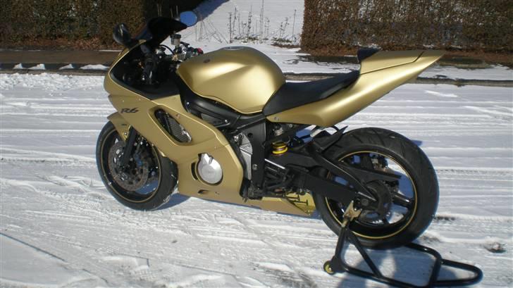 Yamaha R6 "GOLD EDITION" Solgt billede 7