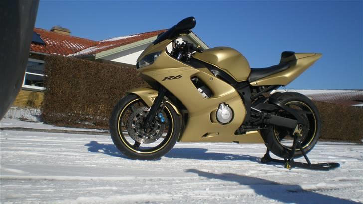 Yamaha R6 "GOLD EDITION" Solgt billede 10