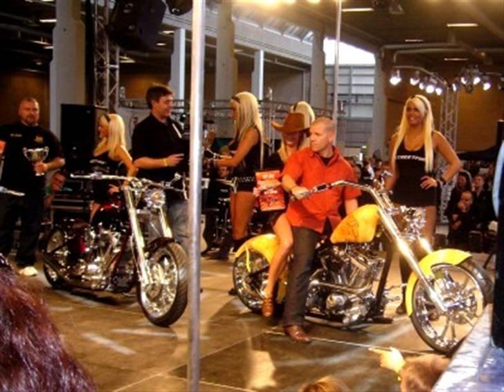 Harley Davidson Chopper  billede 12