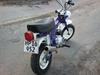 Honda ST50 DAX