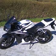 Honda CBR 600rr
