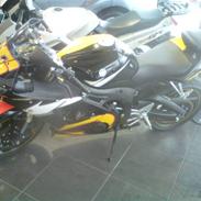 Yamaha R6 - R46 V. Rossi