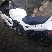 Kawasaki zzr600 (zx-6)