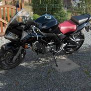 Suzuki SV 650 SA