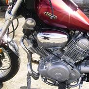 Yamaha Virago  (SOLGT)
