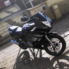 Suzuki GS500 F (død)