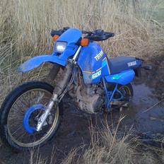 Yamaha xt 600z ténéré