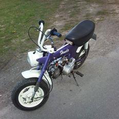 Honda ST50 DAX