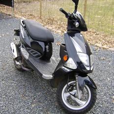 PGO T-rex 110