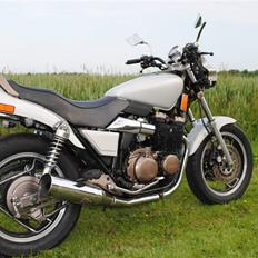 Yamaha YX600T Radian SOLGT